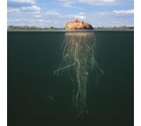 Mars Volta,the - De-Loused in The Comatorium [Import]