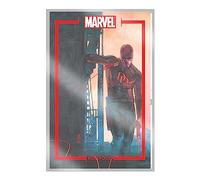 The Marvel Portfolio of Alex Maleev: Daredevil