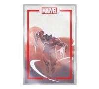 The Marvel Portfolio Of Alex Maleev -- Marvel Universe