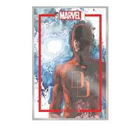 The Marvel Portfolio of David Mack: Daredevil