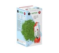 Thé Matcha Premium Japonais - Thé vert en poudre avec spiruline & arôme fraise - 20 sachets