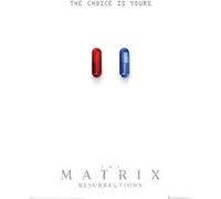 The Matrix Resurrections - The Choice is Yours - 61x91,5cm - AFFICHE G