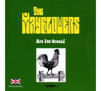 The Mayflowers - Are You Green? [Ltd.Release]