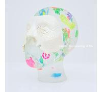 the meaning of life (通常盤)