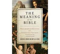 The Meaning of the Bible by Douglas A. Knight Paperback Book Douglas A Knight (Auteur)