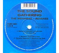 THE MEANING (REMIXES) (BLUE VINYL)