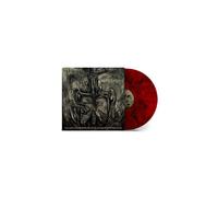 The Mediator Between Head And Hands Must Be The Heart Vinyle Rouge Et Noir