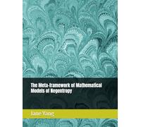 The Meta-framework of Mathematical Models of Negentropy