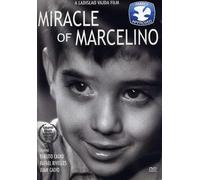 The Miracle of Marcelino