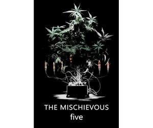 The Mischievous Five: A Historical Thriller Based In Sweden Featuring Vikings, Their Gods, Their Treasure, A Modern Day Hunt For It, Some Laughs, And Some Really Bad People.