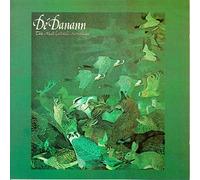 The Mist Covered Mountain by De Danann