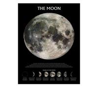 The MOON - La LUNE (Phases) - 61x91,5cm - Affiche / Poster