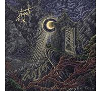 The Moon Lit Our Path