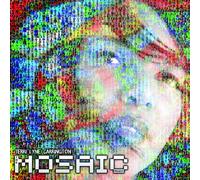 The Mosaic Project