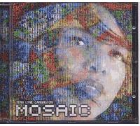 The Mosaic Project