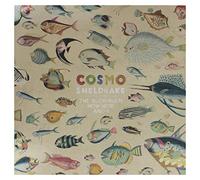 The Much Much How How And I Double Vinyle