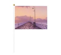 The Mumbai Filmcity Tours Lot de 6 et 10 drapeaux à agiter à la main, drapeaux à main sur bâton, pour défilés, fêtes, bars, anniversaires