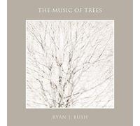 The Music of Trees: A Journey Through Three Series of Tree Photographs, and Three Ways of Seeing