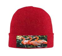 The Mystery of The Flamingo Bonnet en tricot pour homme/femme Bonnet tricoté à revers - Chapeaux tricotés pour l'hiver doux et chaud, Rouge, taille unique