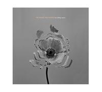 The Naked And Famous - in Rolling Waves [Import Allemand]