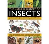 The Natural History Of Insects: A Guide To The World Of Arthropods, Covering Many Insects Orders, Including Beetles, Flies, Stick Insects, Dragonflies, Ants And Wasps, As Well As Microscopic Creatures