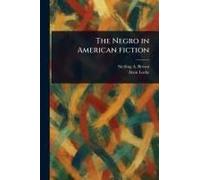 The Negro In American Fiction
