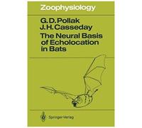 The Neural Basis Of Echolocation In Bats