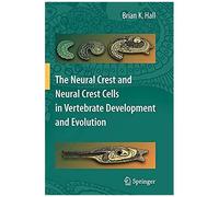 The Neural Crest And Neural Crest Cells In Vertebrate Development And Evolution