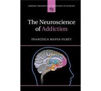 The Neuroscience of Addiction by Filbey & Francesca Mapua University of Texas & Dallas Filbey, Francesca Mapua (University of Texas, Dallas) (Auteur)