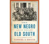 The New Negro in the Old South by Gabriel A. Briggs Gabriel A. Briggs (Auteur)