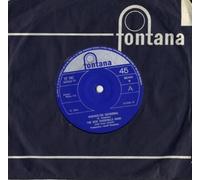The New Vaudeville Band - winchester cathedral LP