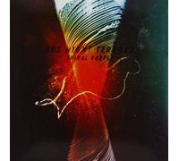 THE NIGHT TERRORS - SPIRAL VORTEX VINYL LP NEUF