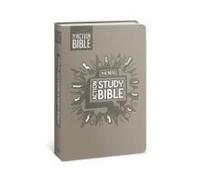 The Niv Action Study Bible, Leathersoft, Gray, Full Color