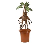 The Noble Collection Mandrake Interactive Plush by Officially Licensed 14in (35cm) Harry Potter Toy Dolls Mandrake Plush & Plant Pot - for Kids & Adults