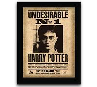 The Noble Collection Plaque Murale Harry Potter Undesirable - 31 cm sur Bois - Poster de récompense Ministry of Magic Wanted - Ensemble d'accessoires de Film Harry Potter