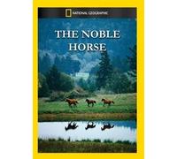 The Noble Horse