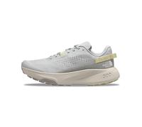 The North Face Altamesa 300 Chaussures de Trail pour Homme Glacier Gray/Soapstone 48