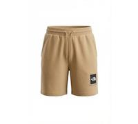 The North Face Box NSE Light Regular Shorts pour Homme Khaki Stone L