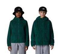 The North Face - Teen's Campshire Full Zip Hoodie - Veste polaire - XL - evergreen