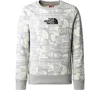THE NORTH FACE Drew Peak Light Crew Meld Grey TNF Brand Proud Print L