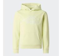 The North Face Drew Peak Light Reg Sweatshirt à Capuche Mixte Enfant (Lot de 1)