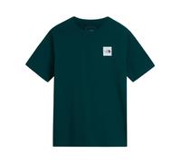THE NORTH FACE Evolution Box Half Dome Regular Short T-Shirt pour Homme Pacific Teal L