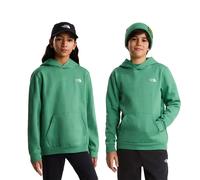 The North Face Evolution Simple Dome Hoodie Vert XS Enfants