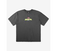 THE NORTH FACE Expedition Celebration Oversized T-Shirt Homme (Lot de 1)