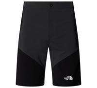 The North Face - Felik Slim Tapered Short - Short - 50 - asphalt grey / tnf black / black