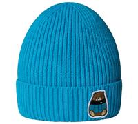The North Face - Kid's TNF Logo Box Cuffed Beanie - Bonnet - One Size - meridian blue / nuptse be