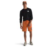 The North Face NF0A8C1J6D2 M Box NSE Regular Short Shorts Homme Iron Bronze-TNF Black Taille S