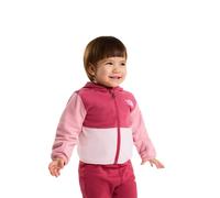 The North Face Polaire Demi-zip Glacier