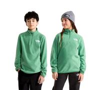 The North Face Polaire Demi-zip Glacier