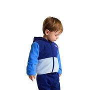 The North Face Polaire Demi-zip Glacier